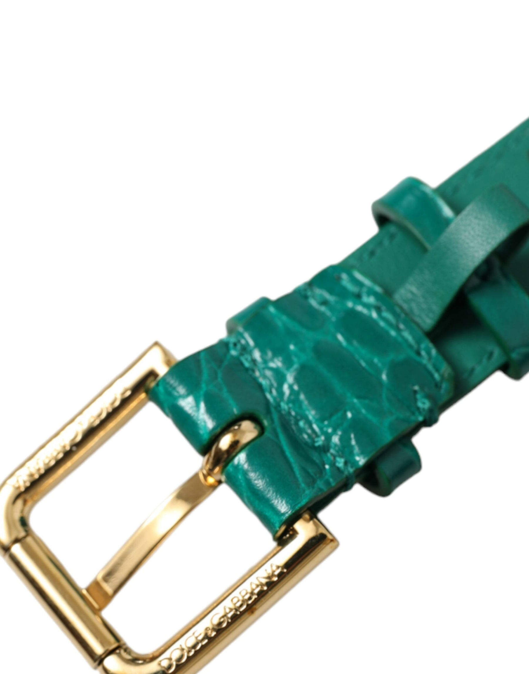Dolce & Gabbana Green Textured Leather Gold Tone Metal Buckle Neckband | Regal Royce