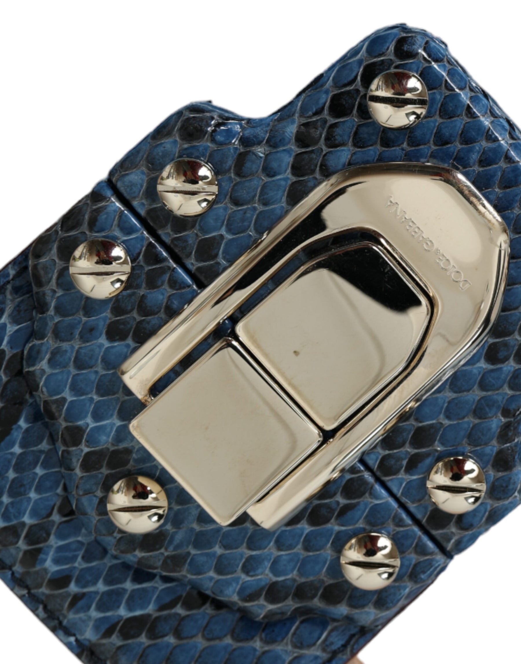 Dolce & Gabbana Blue Beige Exotic Leather LUCIA Crossbody Purse Bag | Regal Royce