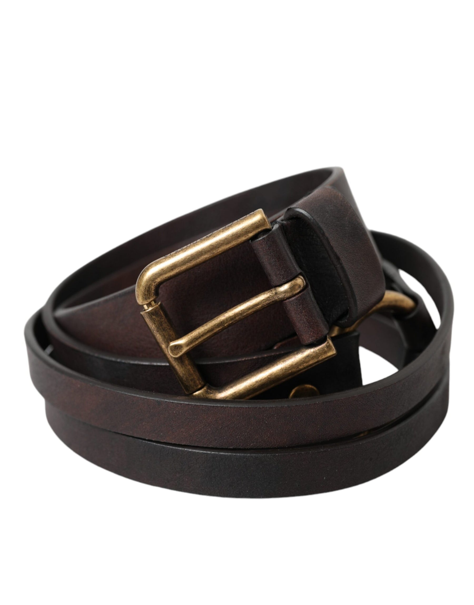 Dolce & Gabbana Dark Brown Leather Gold Metal Buckle Women Belt | Regal Royce