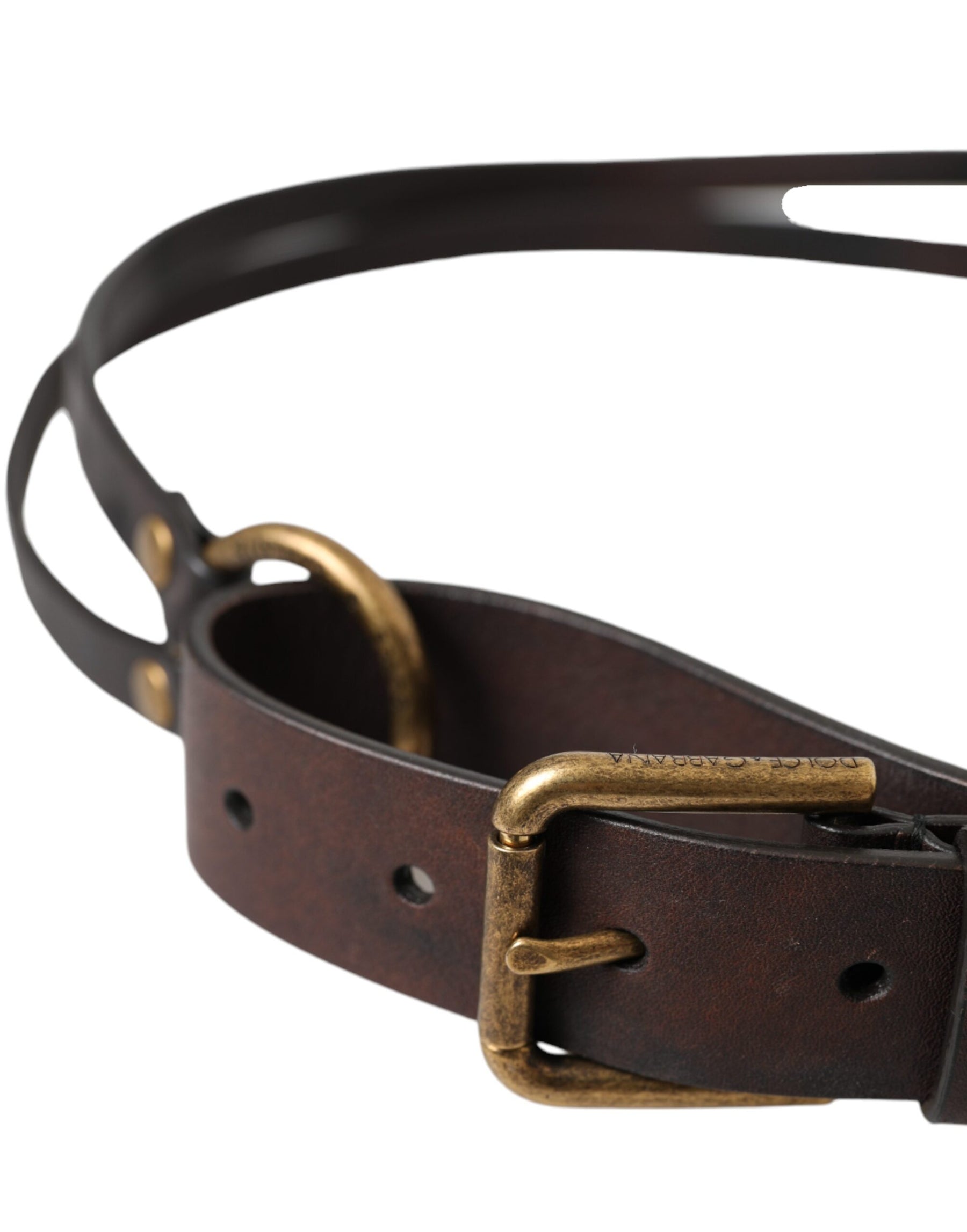 Dolce & Gabbana Dark Brown Leather Gold Metal Buckle Women Belt | Regal Royce