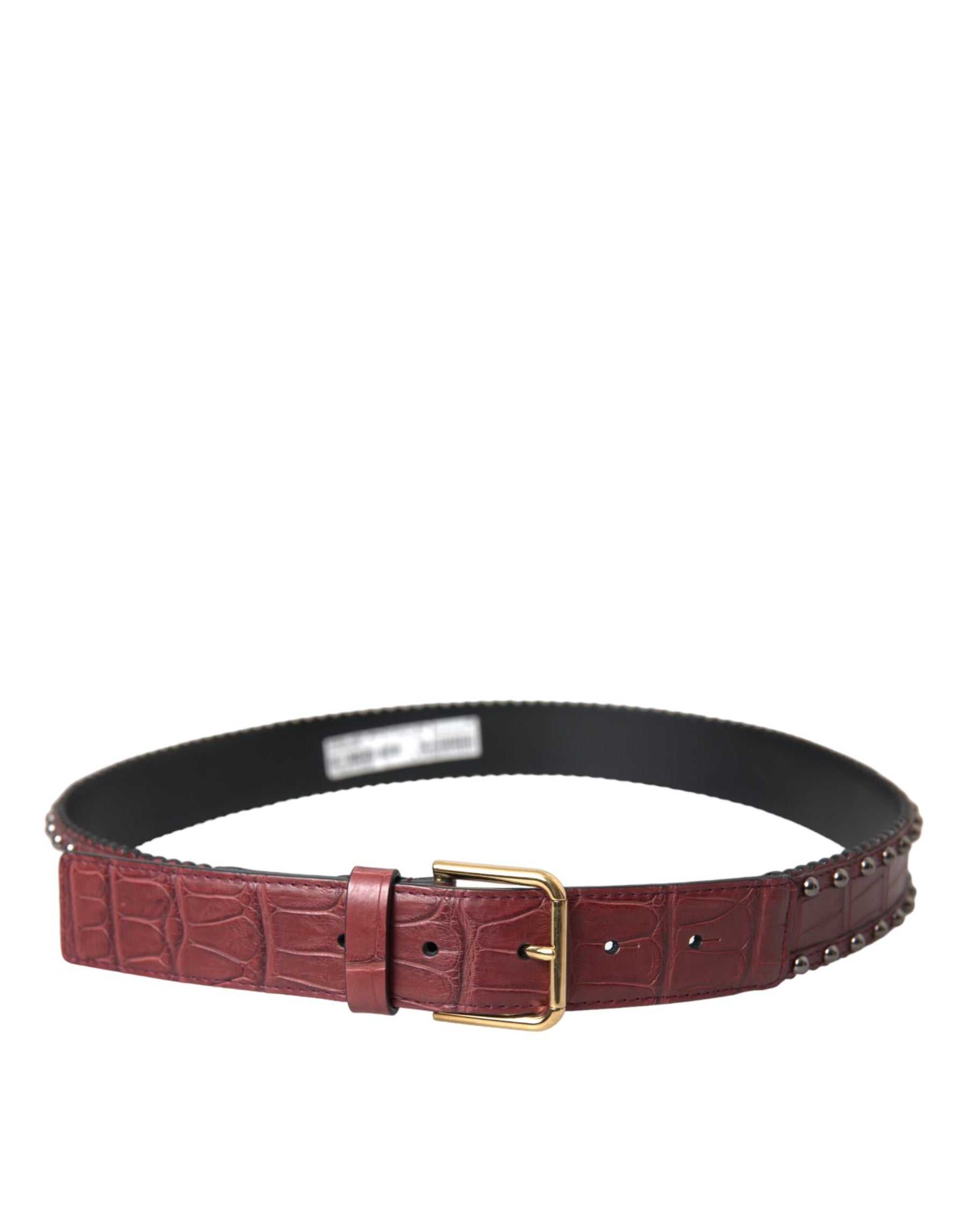 Dolce & Gabbana Brown Alligator Leather Studded Metal Buckle Belt | Regal Royce