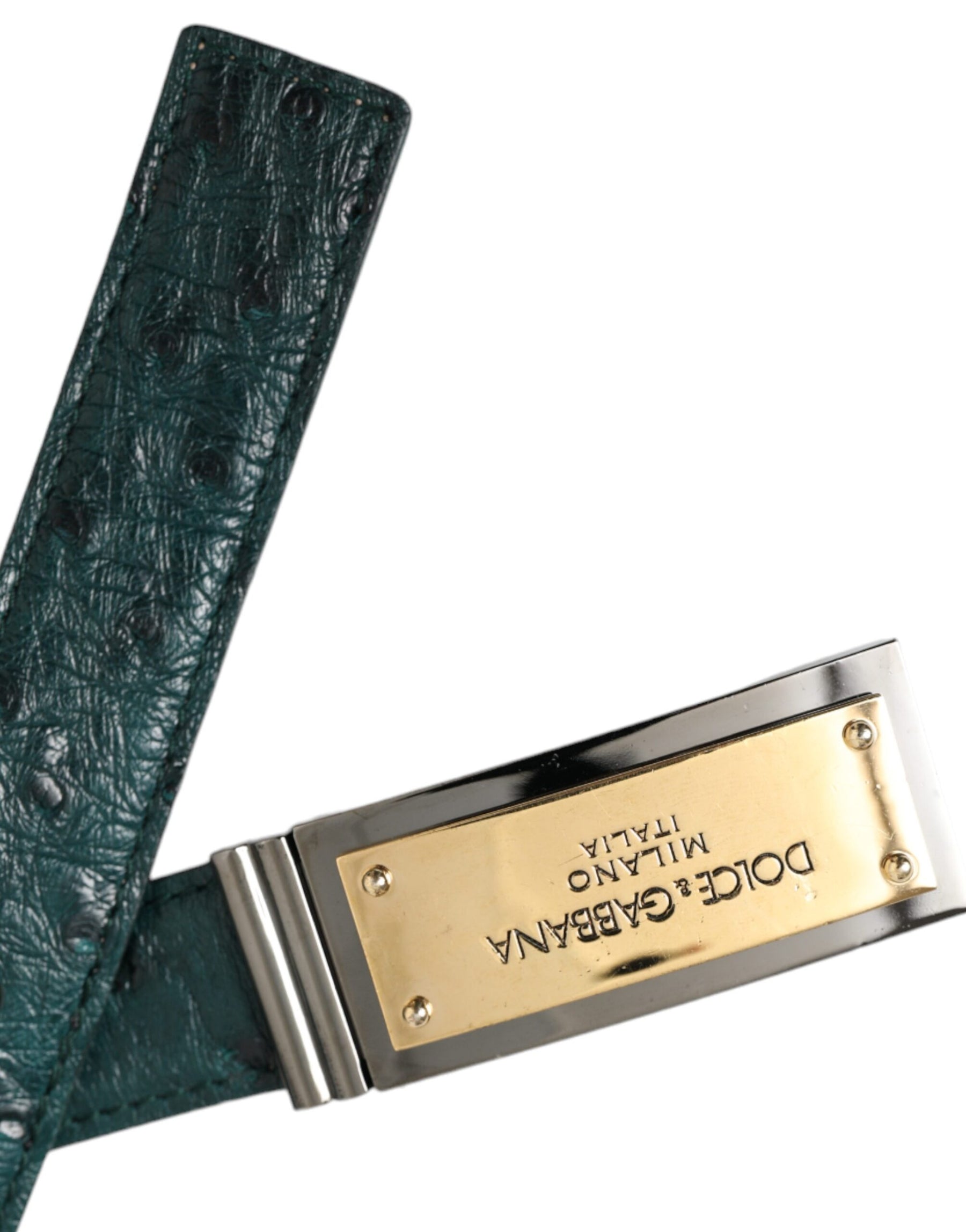 Dolce & Gabbana Green Leather Gold Logo Engraved Buckle Belt | Regal Royce