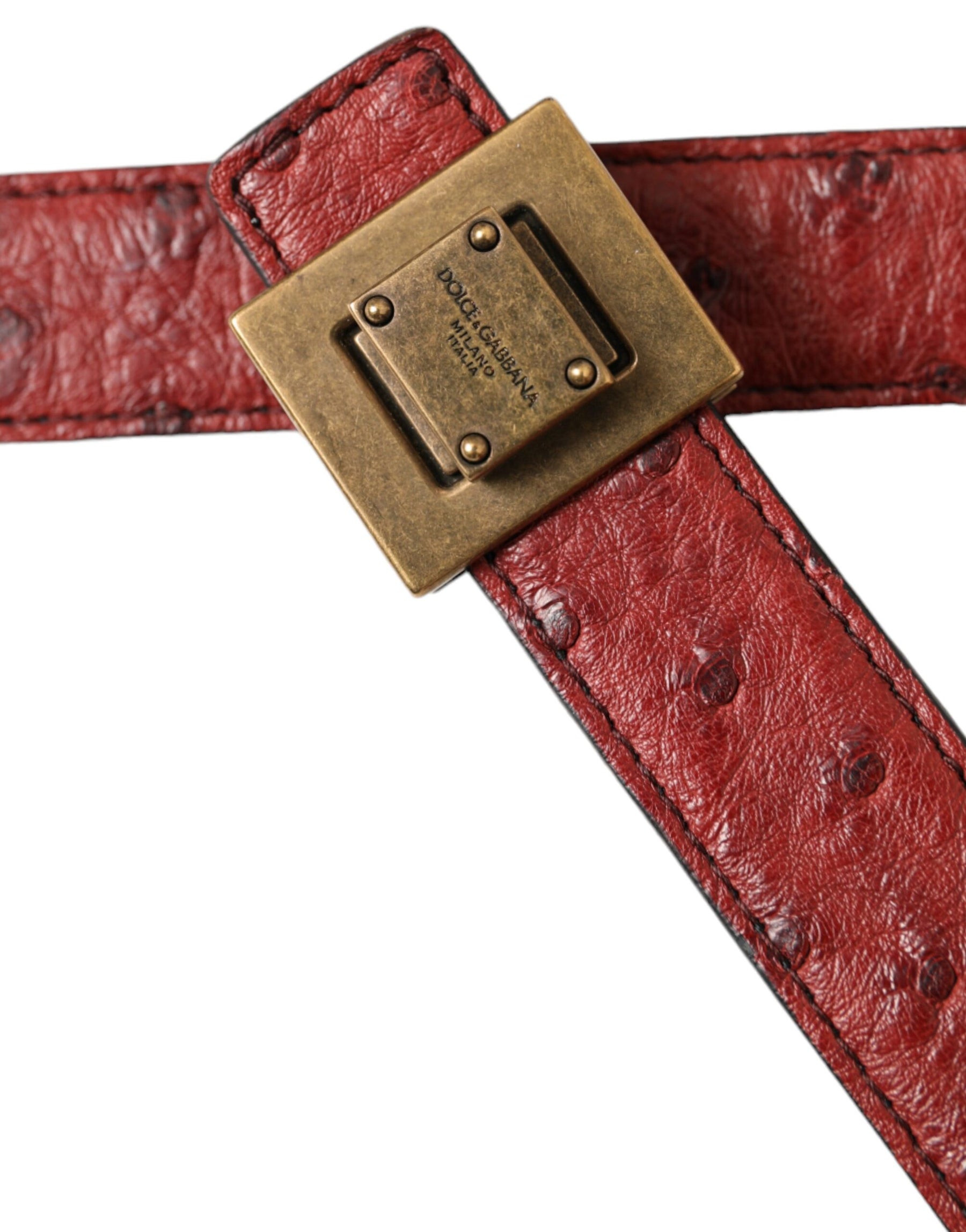Dolce & Gabbana Brown Leather Square Metal Buckle Belt | Regal Royce