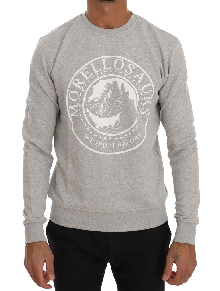 Frankie Morello Gray Cotton Crewneck Pullover Sweater | Regal Royce