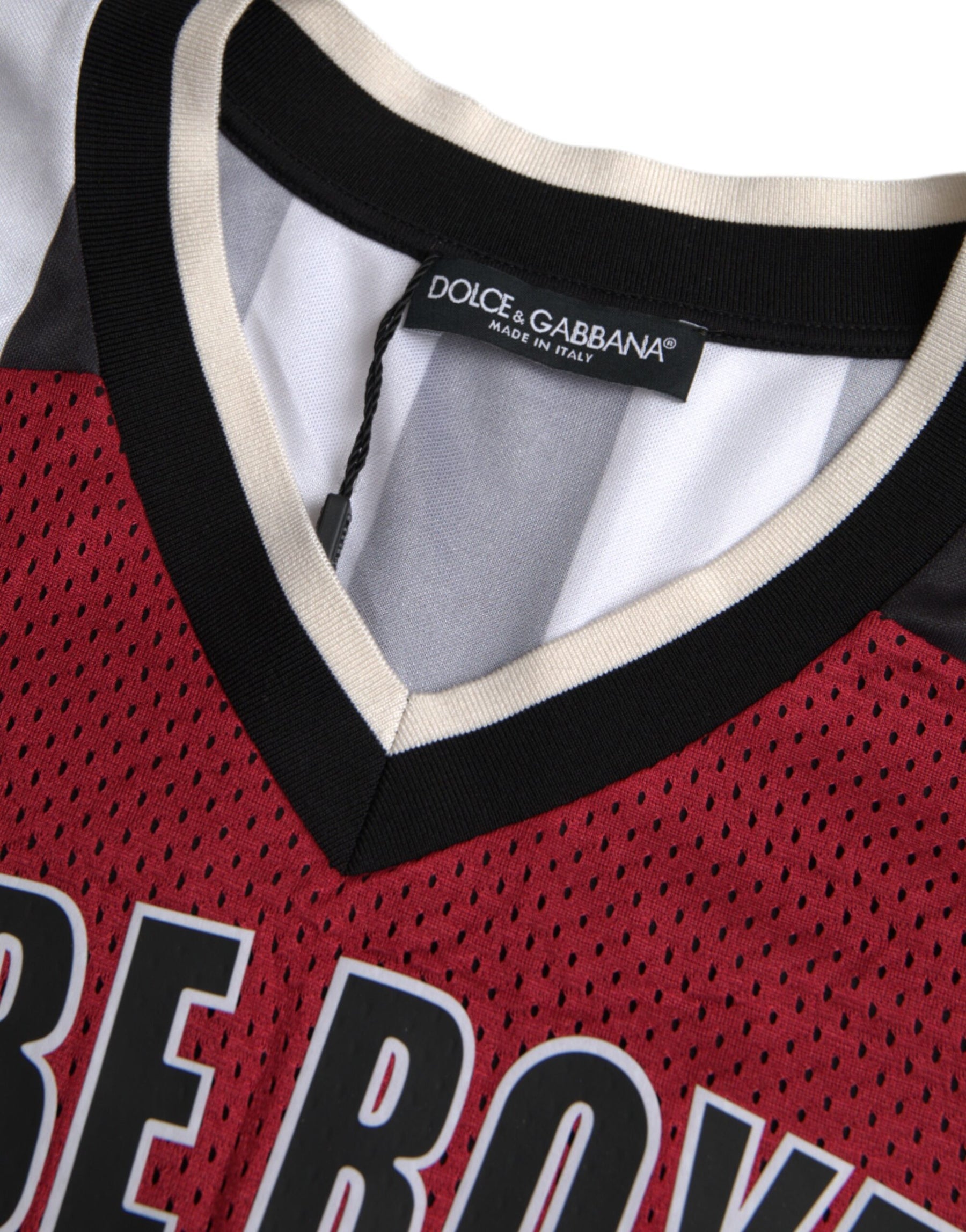 Dolce & Gabbana Multicolor Royals Panda Oversized T-shirt | Regal Royce