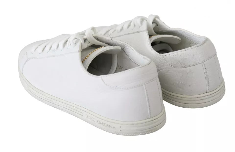 Dolce & Gabbana White Saint Tropez Lace Up Men Sneakers Men Shoes | Regal Royce