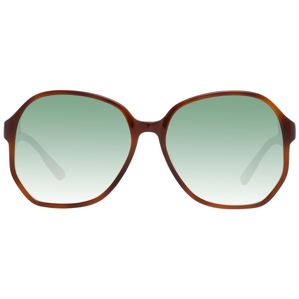 Scotch & Soda Brown Acetate Sunglasses | Regal Royce