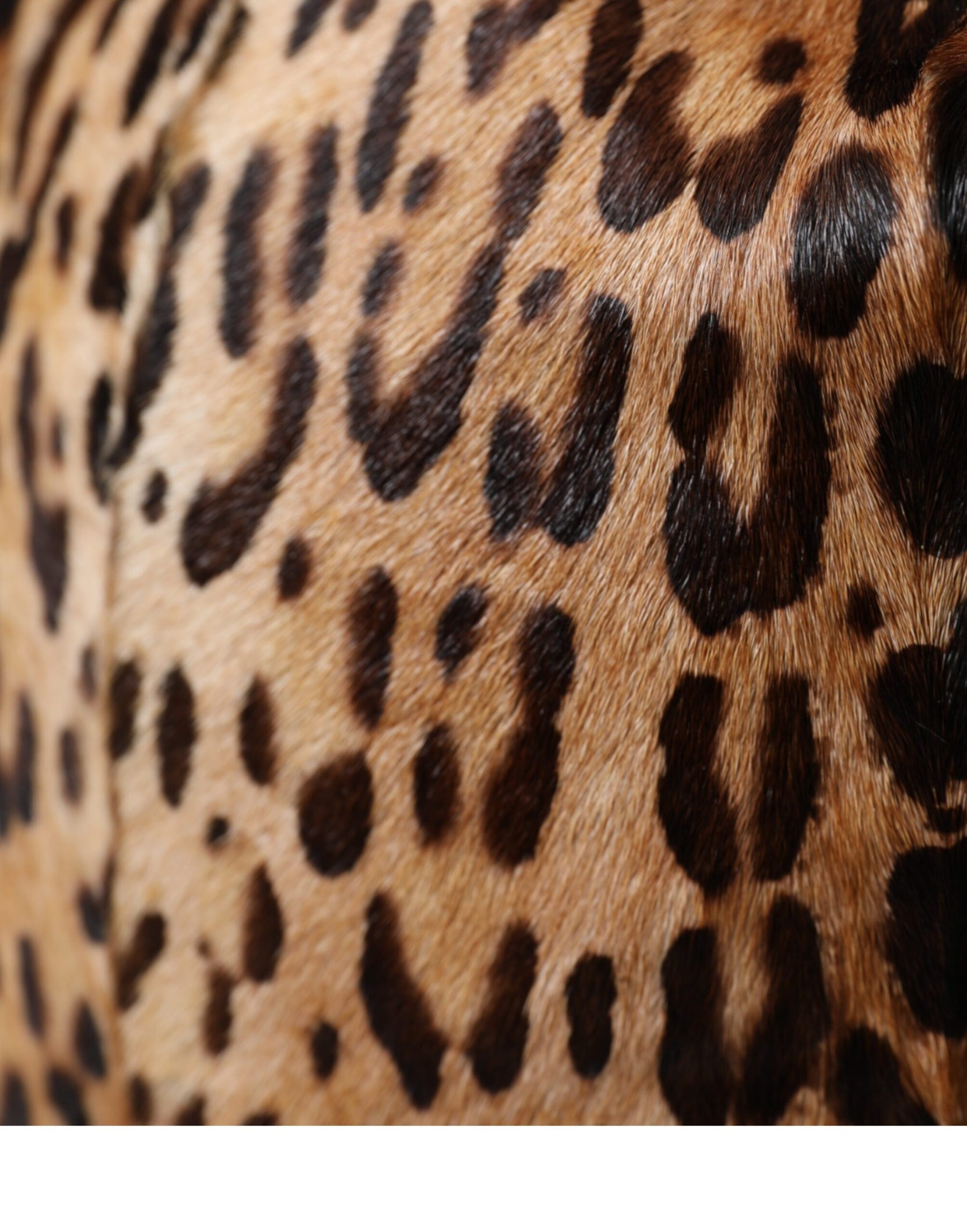 Dolce & Gabbana Brown Leopard Fur Women Bucket Hat | Regal Royce