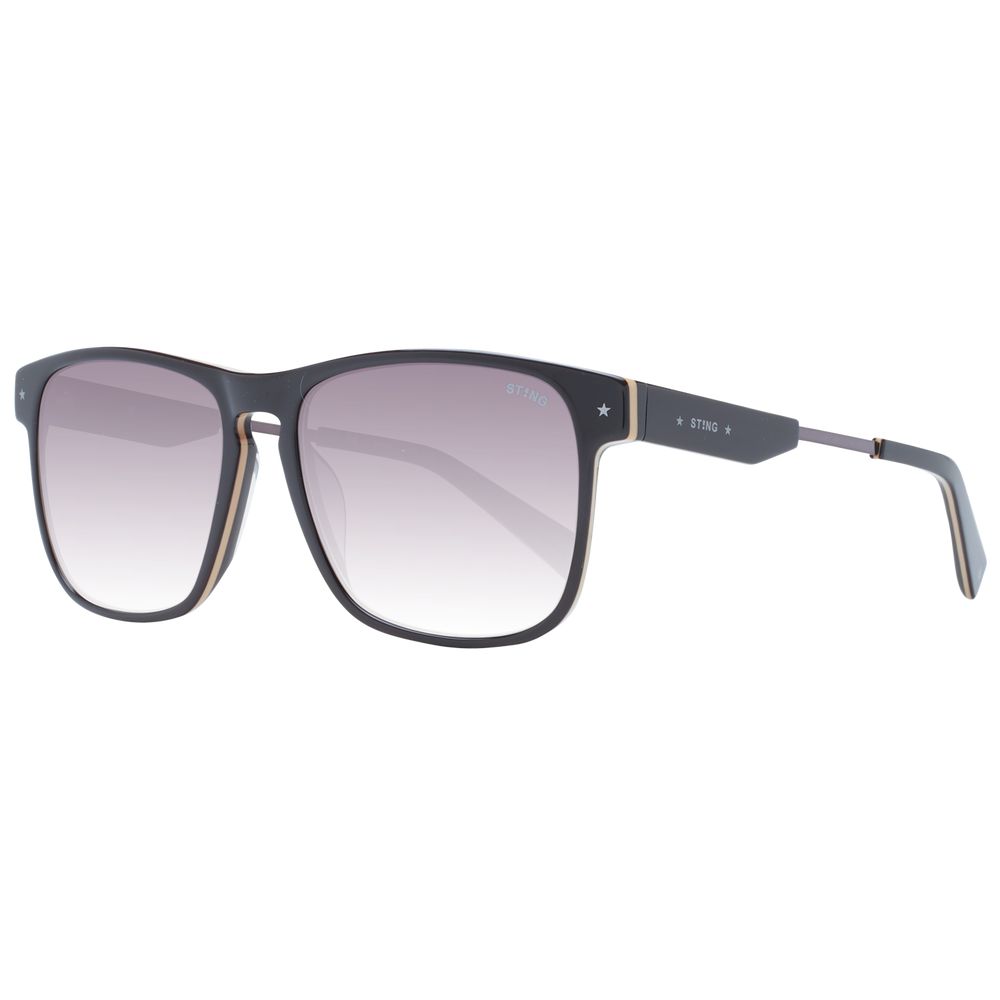 Sting Brown Acetate & Plastic Sunglasses | Regal Royce