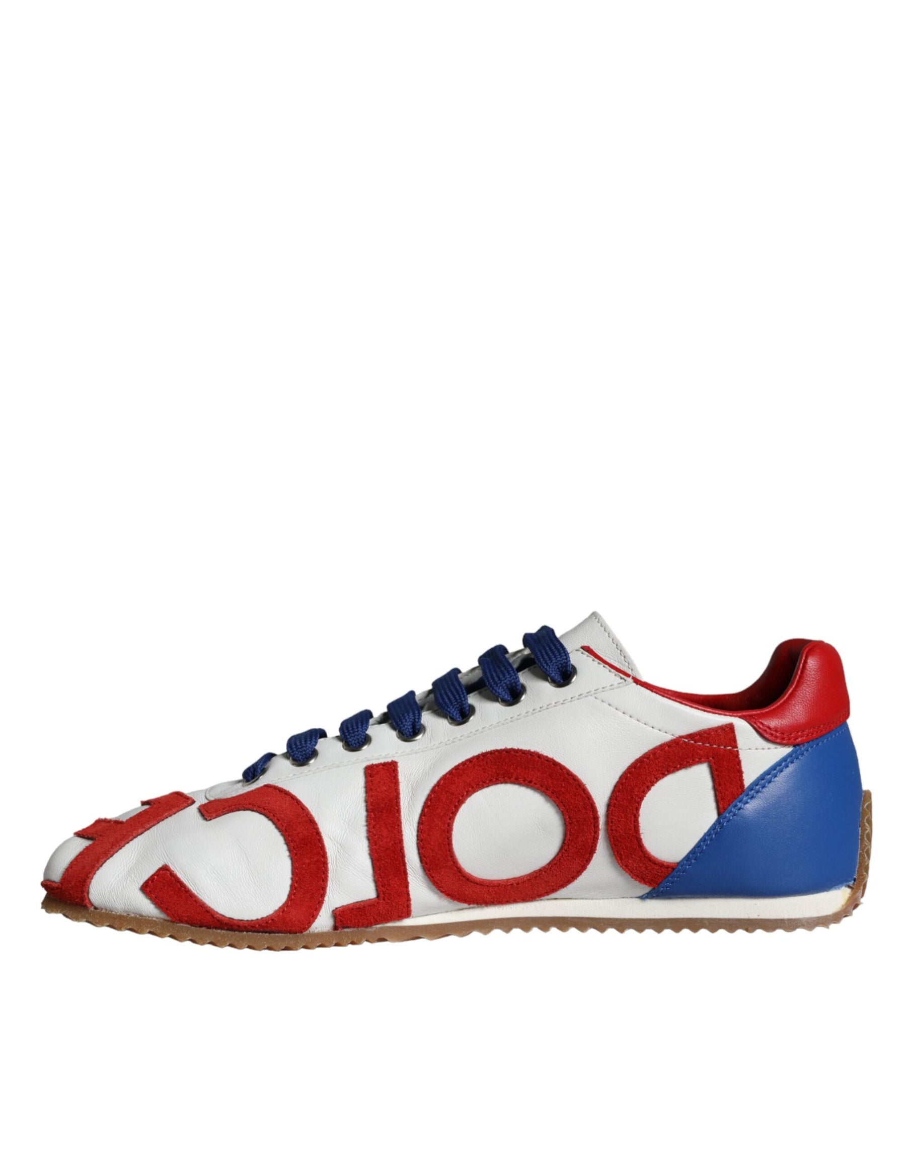 Dolce & Gabbana Multicolor Leather Logo Casual Sneakers Shoes | Regal Royce