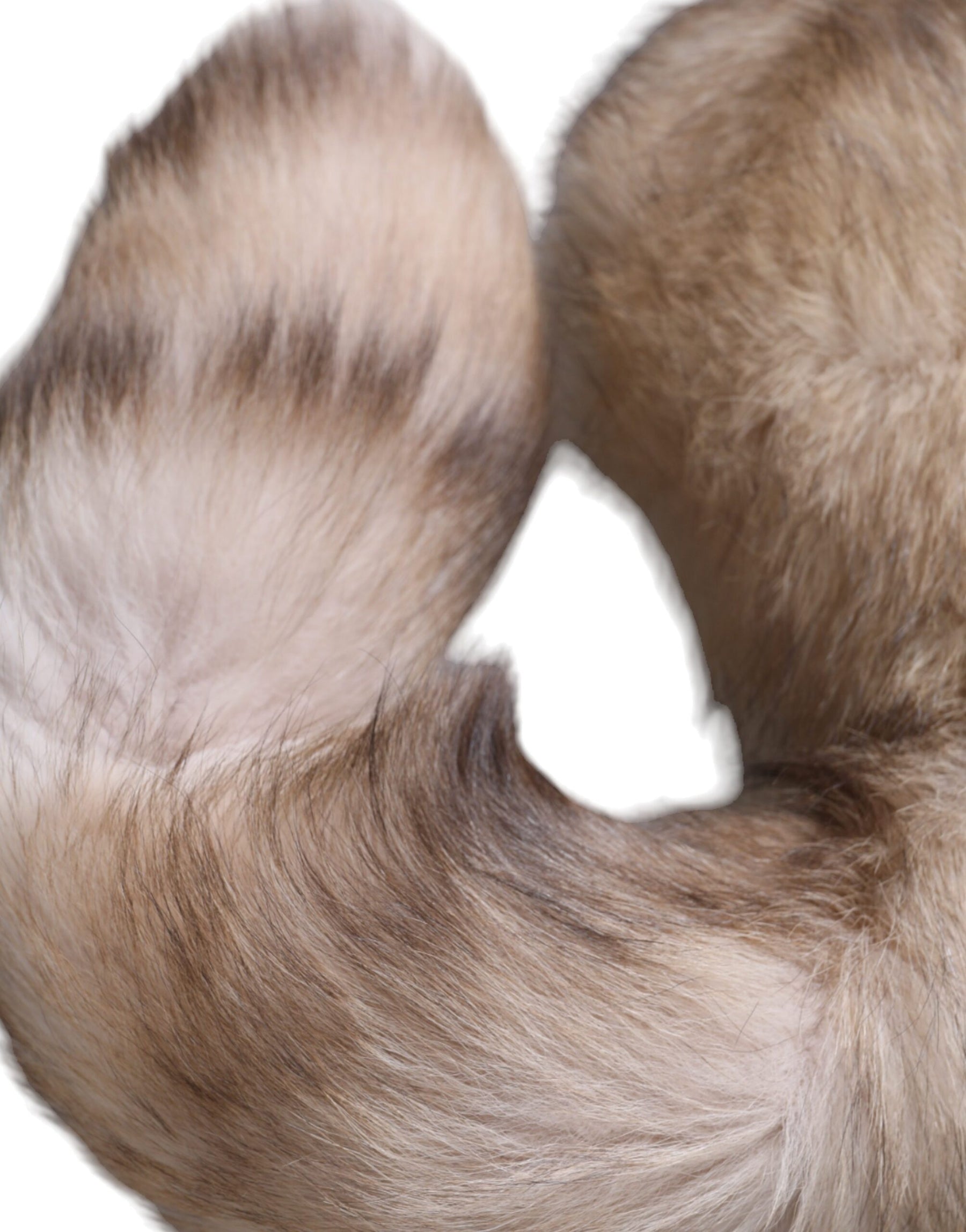 Dolce & Gabbana Brown Frost Fox Fur Neck Warmer Winter Scarf | Regal Royce