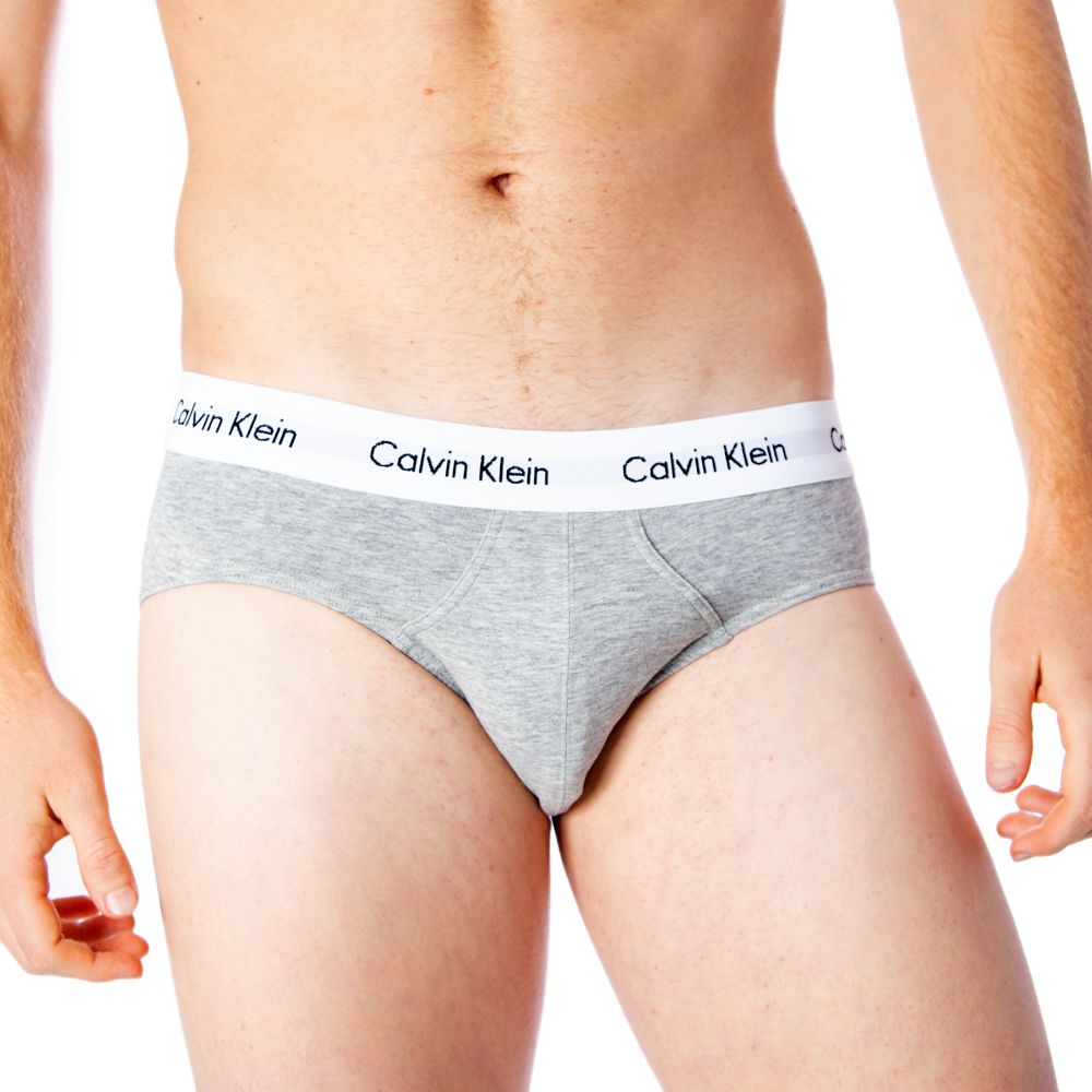 Calvin Klein Underwear Gray Cotton Briefs | Regal Royce