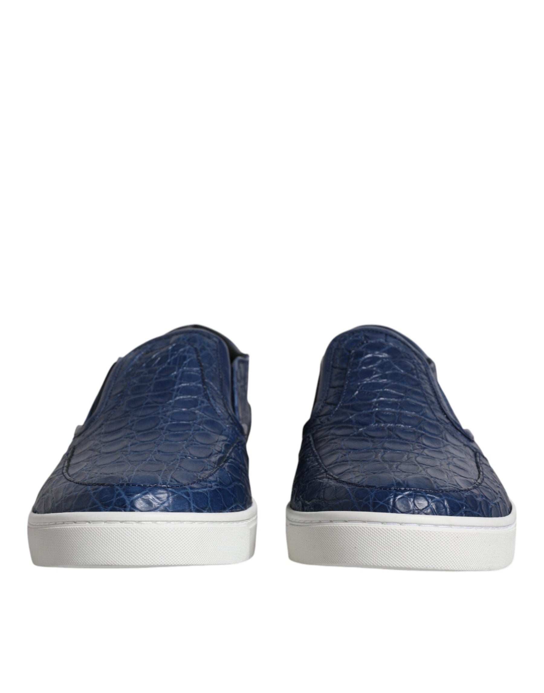 Dolce & Gabbana Blue Croc Exotic Leather Men Sneakers Shoes | Regal Royce