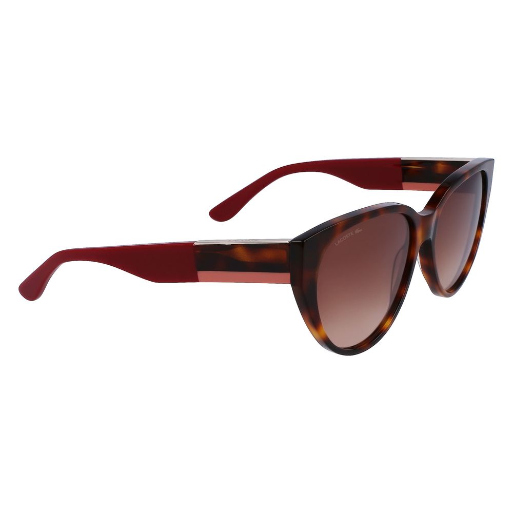 Lacoste Brown Acetate Sunglasses | Regal Royce