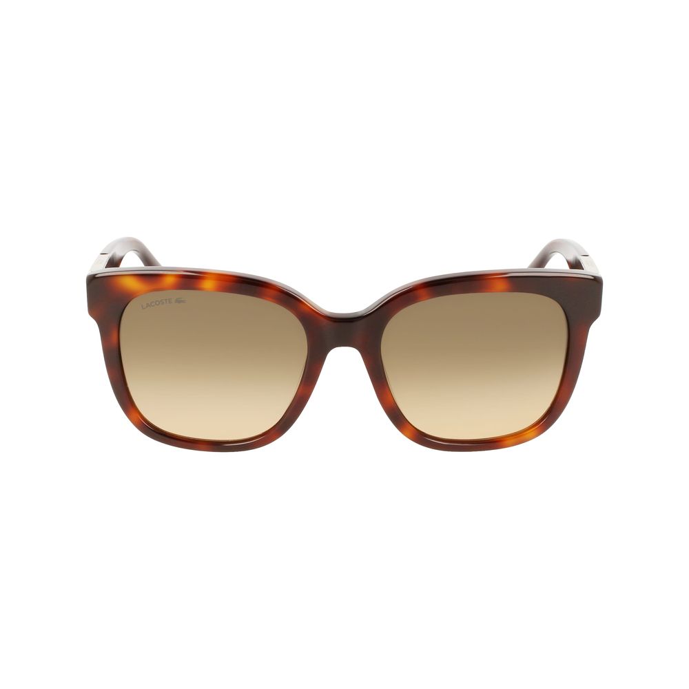 Lacoste Brown Acetate Sunglasses | Regal Royce