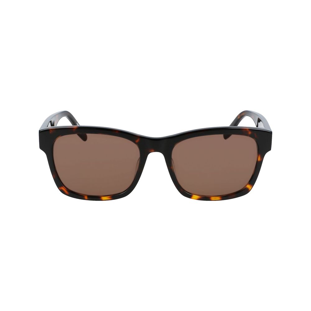 Converse Brown Acetate Sunglasses | Regal Royce