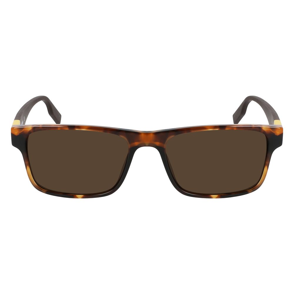 Converse Brown Acetate Sunglasses | Regal Royce