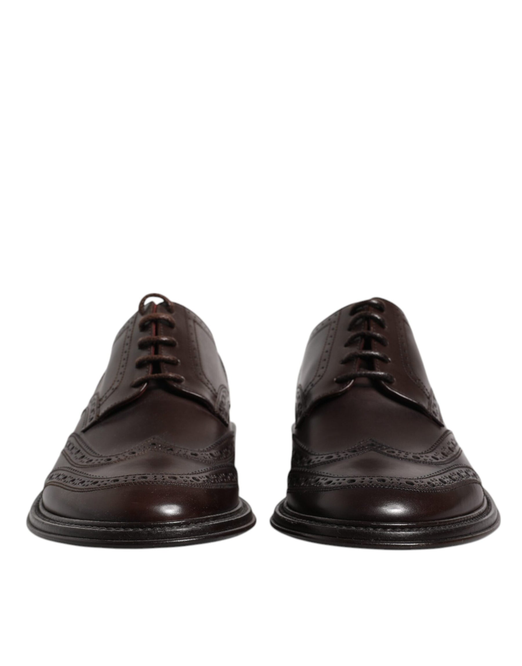 Dolce & Gabbana Brown Leather Derby Wingtip Lace Up Formal Dress Shoes | Regal Royce