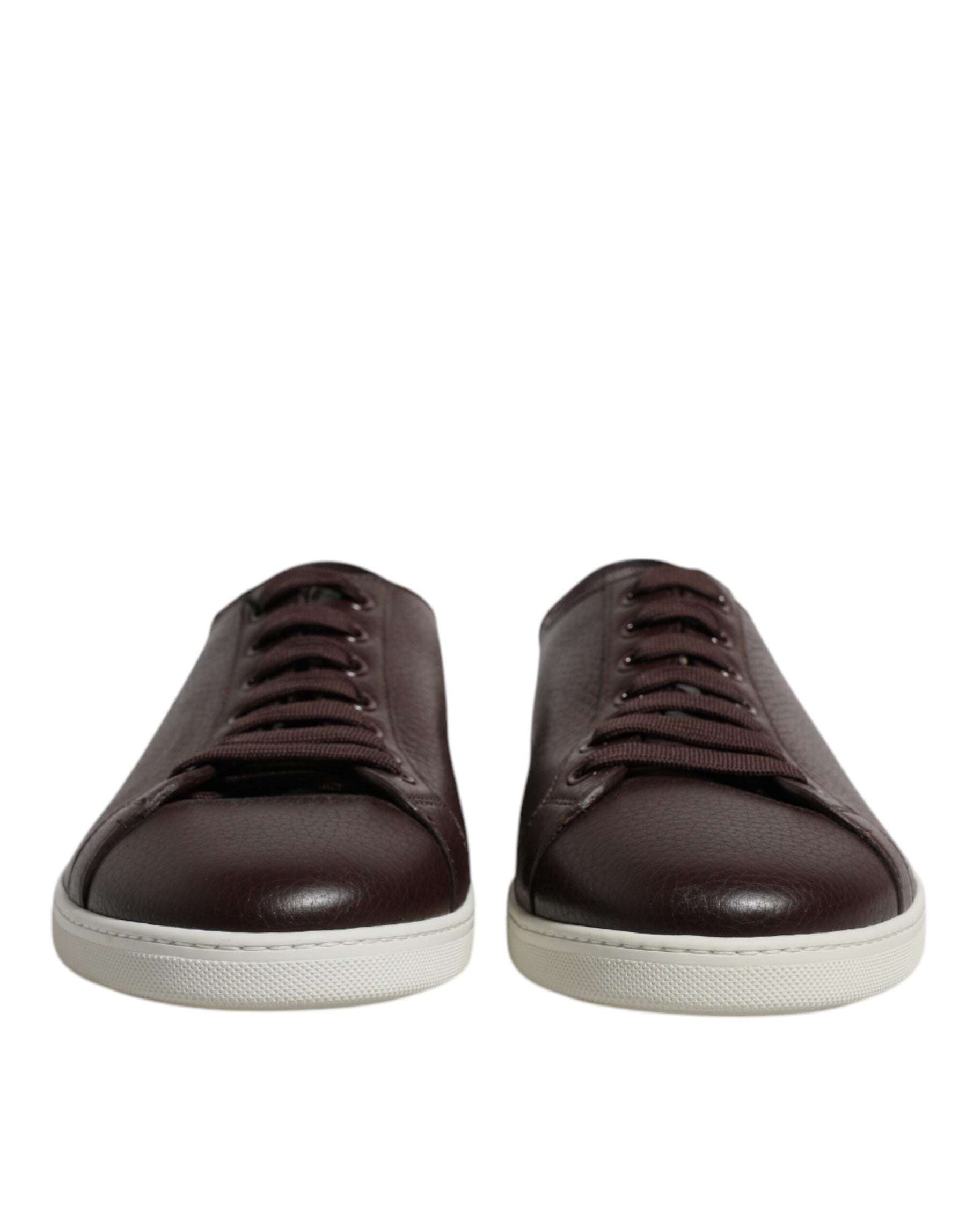Dolce & Gabbana Brown Low Top Men Saint Tropez Sneakers Shoes | Regal Royce