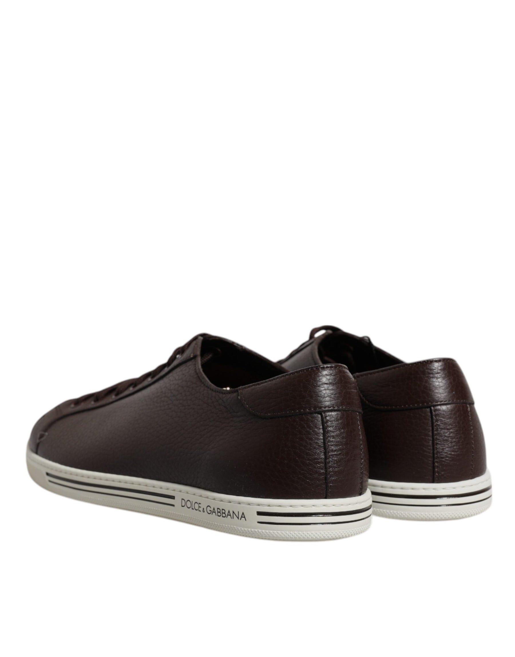 Dolce & Gabbana Brown Low Top Men Saint Tropez Sneakers Shoes | Regal Royce