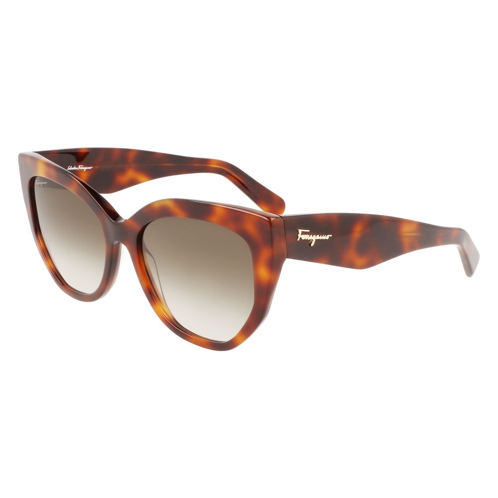 Ferragamo Brown Acetate Sunglasses | Regal Royce