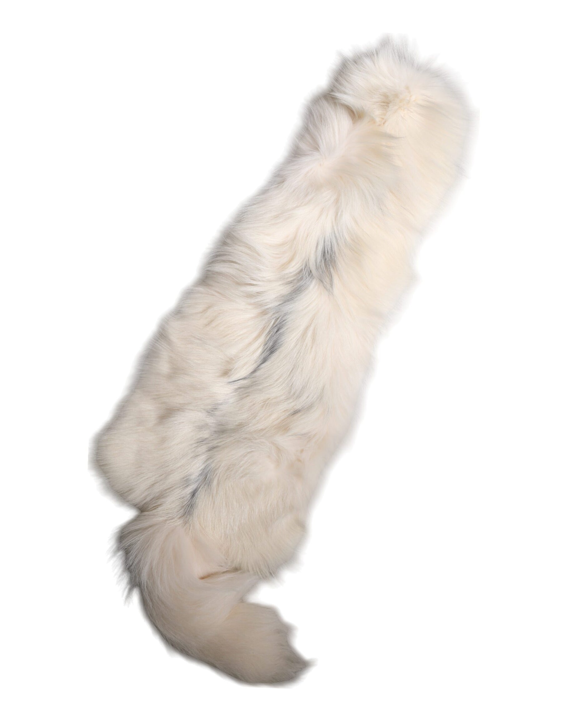 Dolce & Gabbana White Fox Fur Neck Wrap Warmer Winter Scarf | Regal Royce