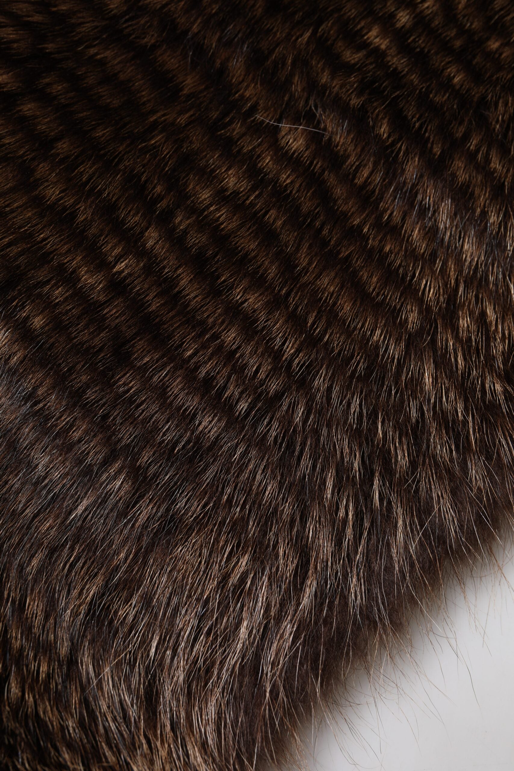 Dolce & Gabbana Brown Raccoon Fur Neck Warmer Winter Scarf | Regal Royce