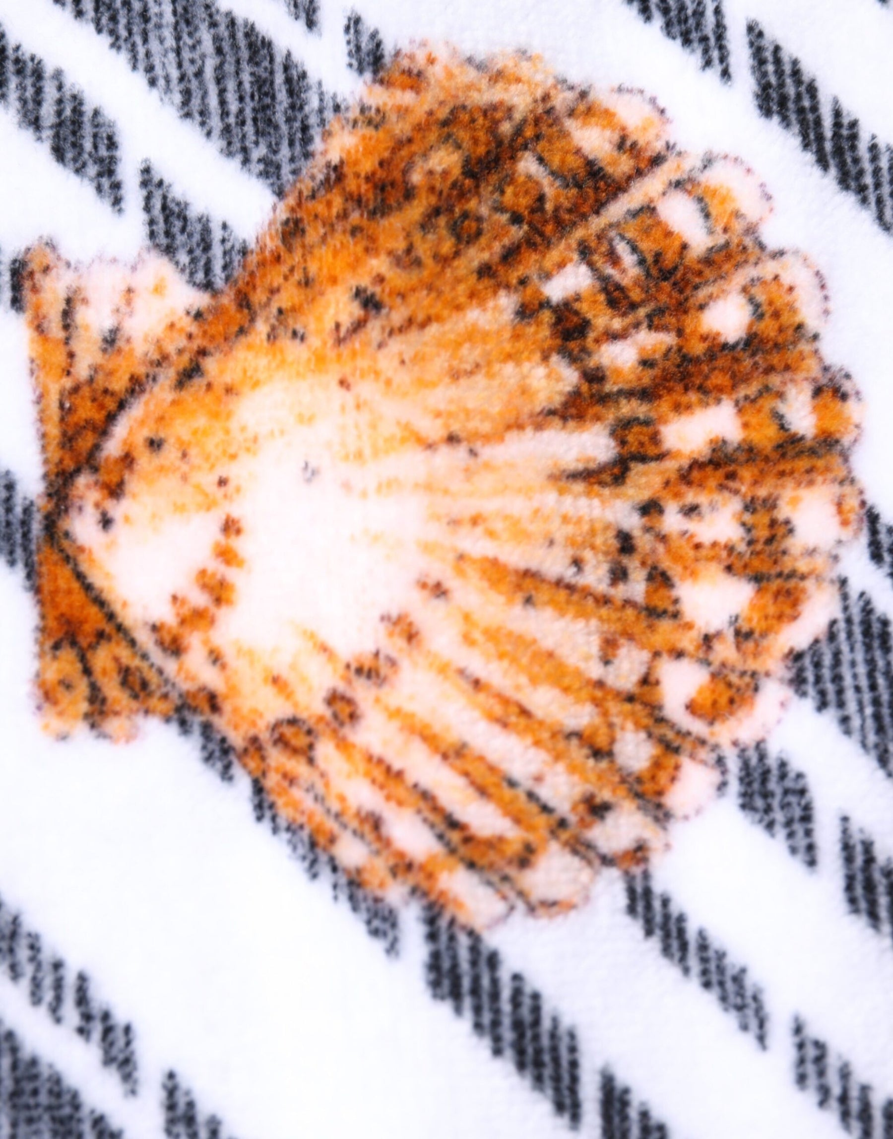 Dolce & Gabbana Multicolor Stripes Seashells Beach Towel | Regal Royce