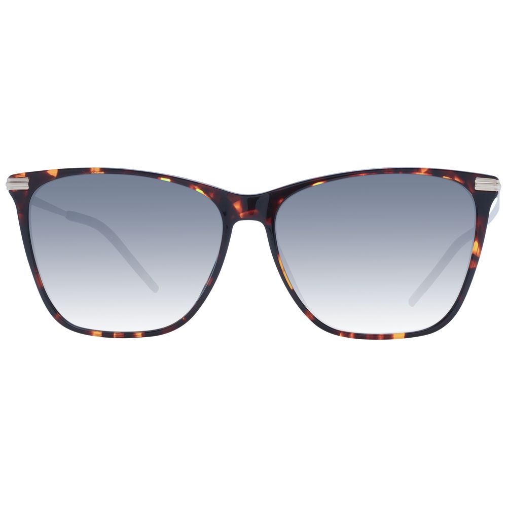 Hugo Boss Brown Acetate Sunglasses | Regal Royce