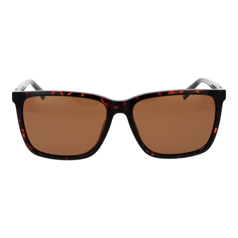 Timberland Brown Plastic Sunglasses | Regal Royce
