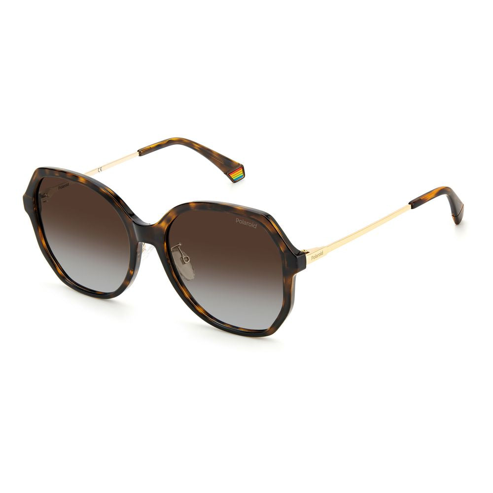 Polaroid Brown Plastic Sunglasses | Regal Royce