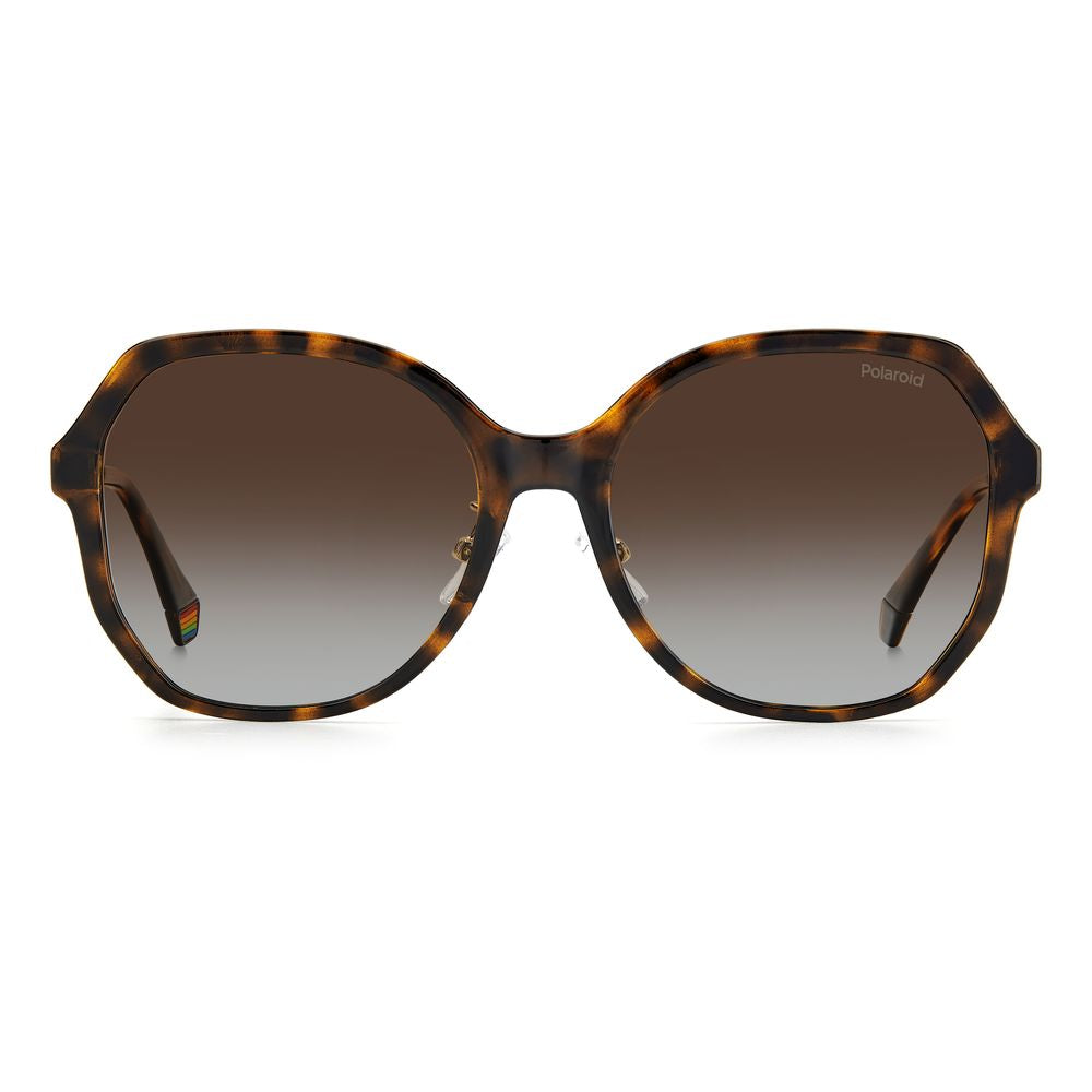 Polaroid Brown Plastic Sunglasses | Regal Royce