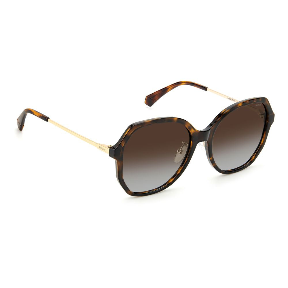 Polaroid Brown Plastic Sunglasses | Regal Royce