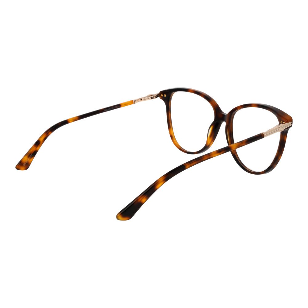 Guess Brown Acetate Glasses (Frames) | Regal Royce
