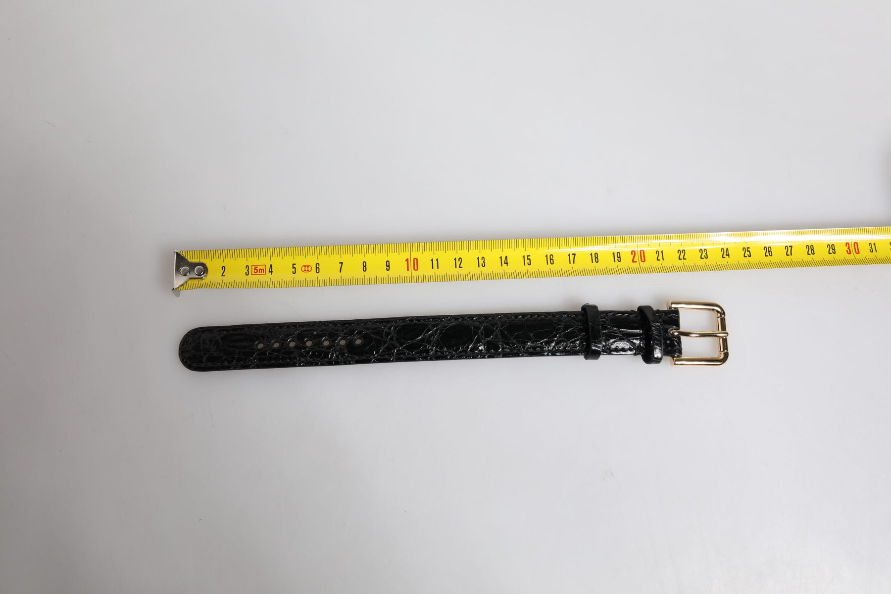 Dolce & Gabbana Black Exotic Leather Gold Tone Metal Buckle Armband | Regal Royce