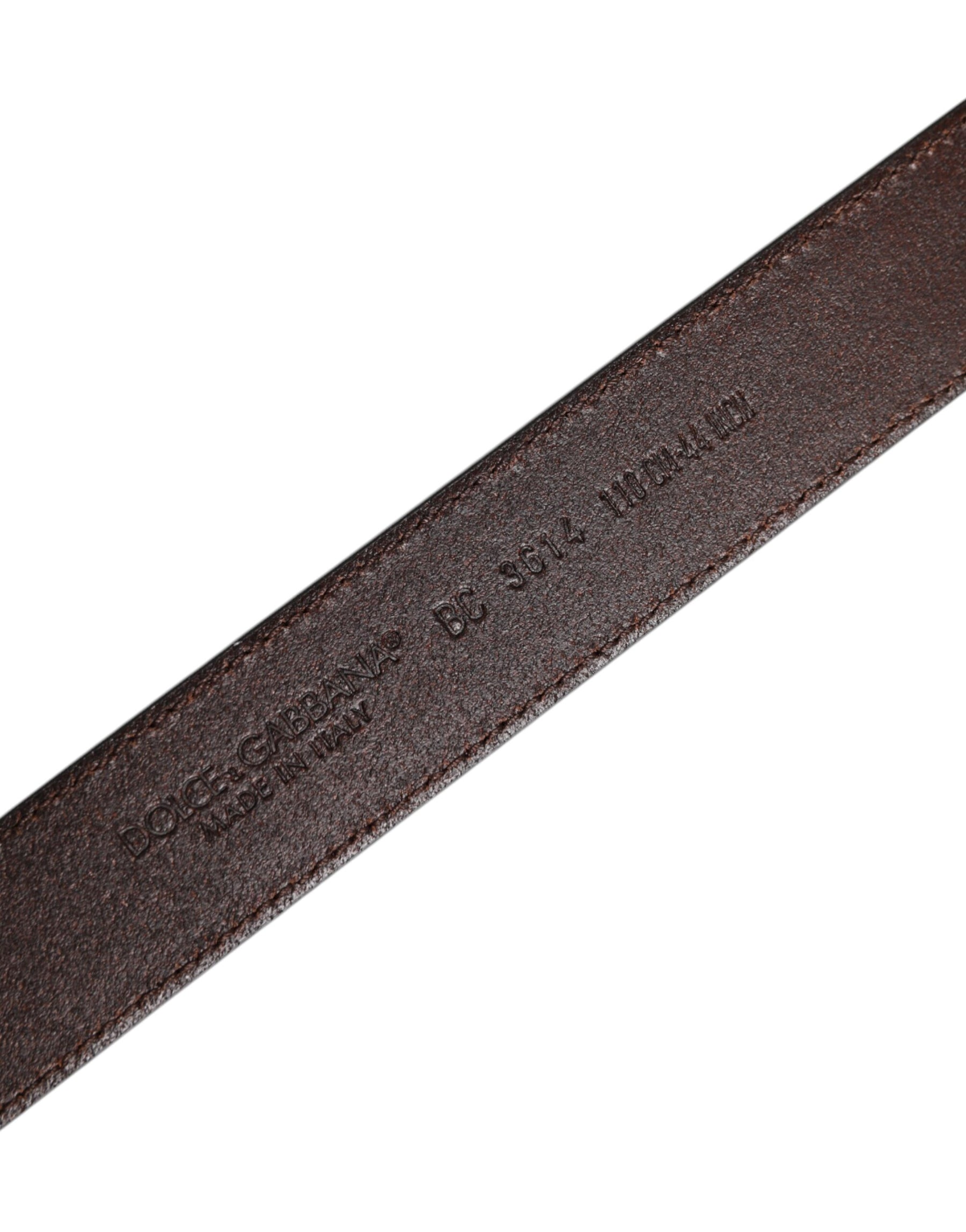 Dolce & Gabbana Brown Leather Silver Metal Buckle Belt | Regal Royce