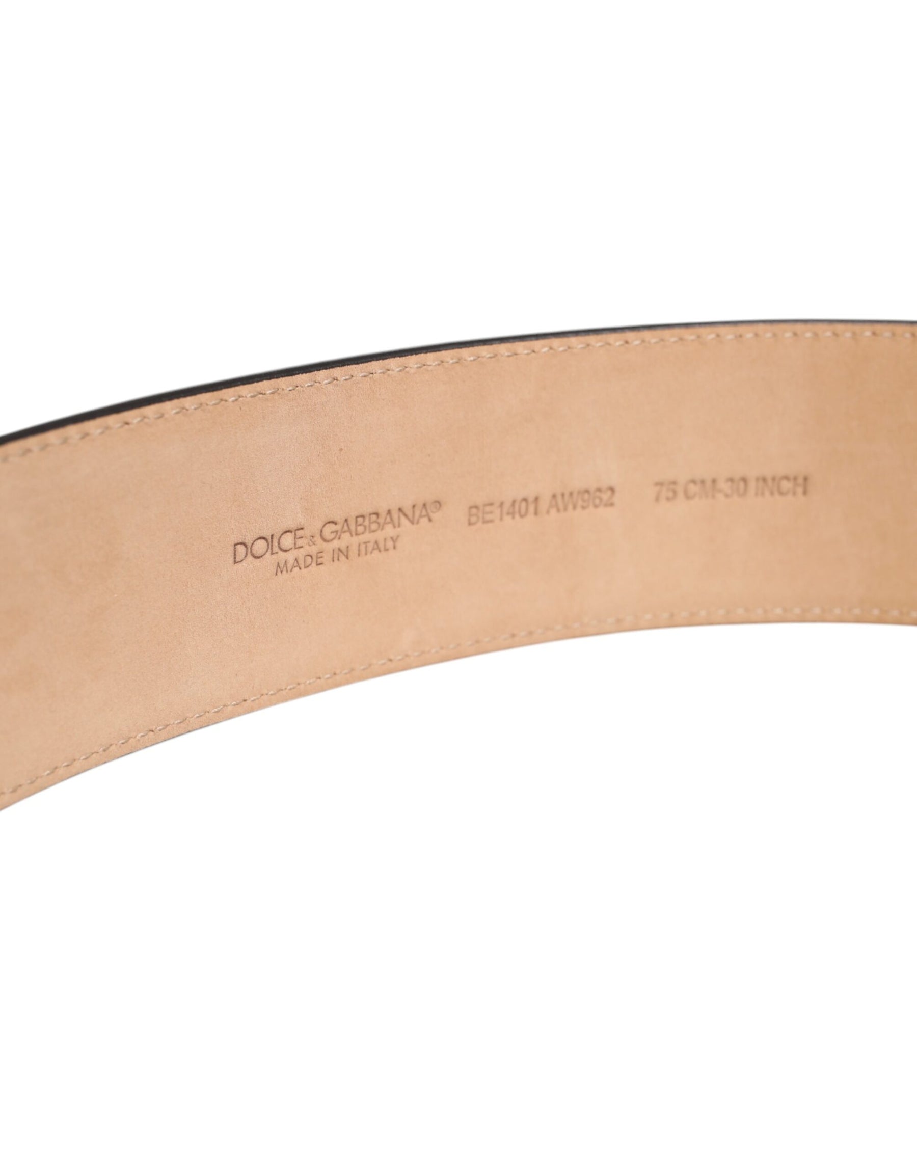 Dolce & Gabbana Brown Leather Waist Gold Metal Buckle Belt | Regal Royce