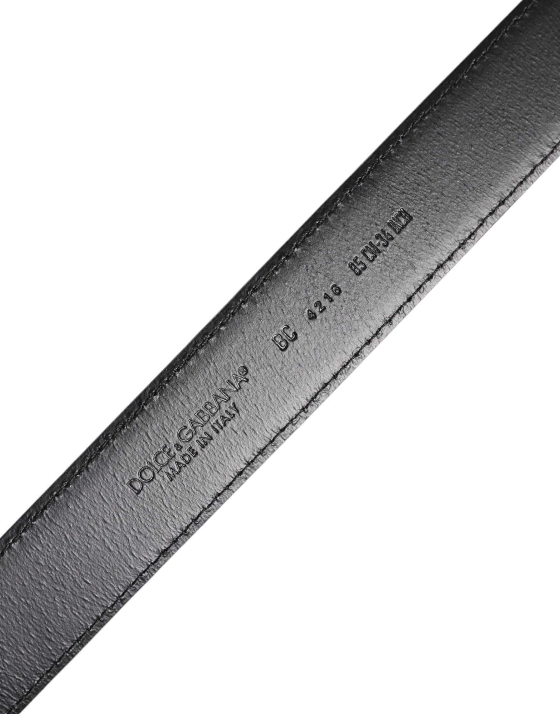 Dolce & Gabbana Brown Classic Calf Leather Silver Buckle Belt | Regal Royce