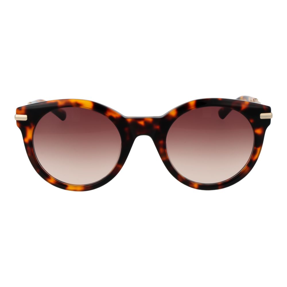 Sandro Brown Acetate Sunglasses | Regal Royce