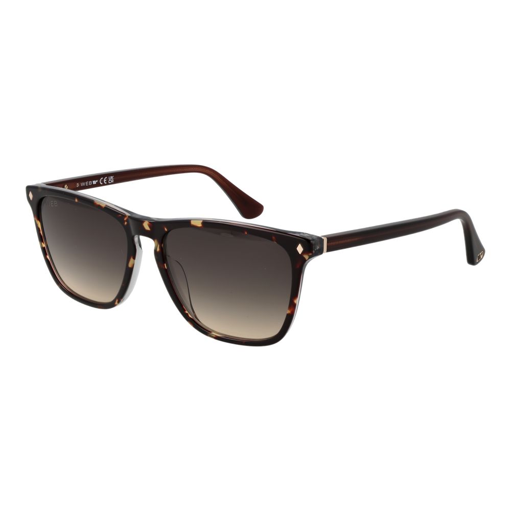Web Brown Acetate Sunglasses | Regal Royce