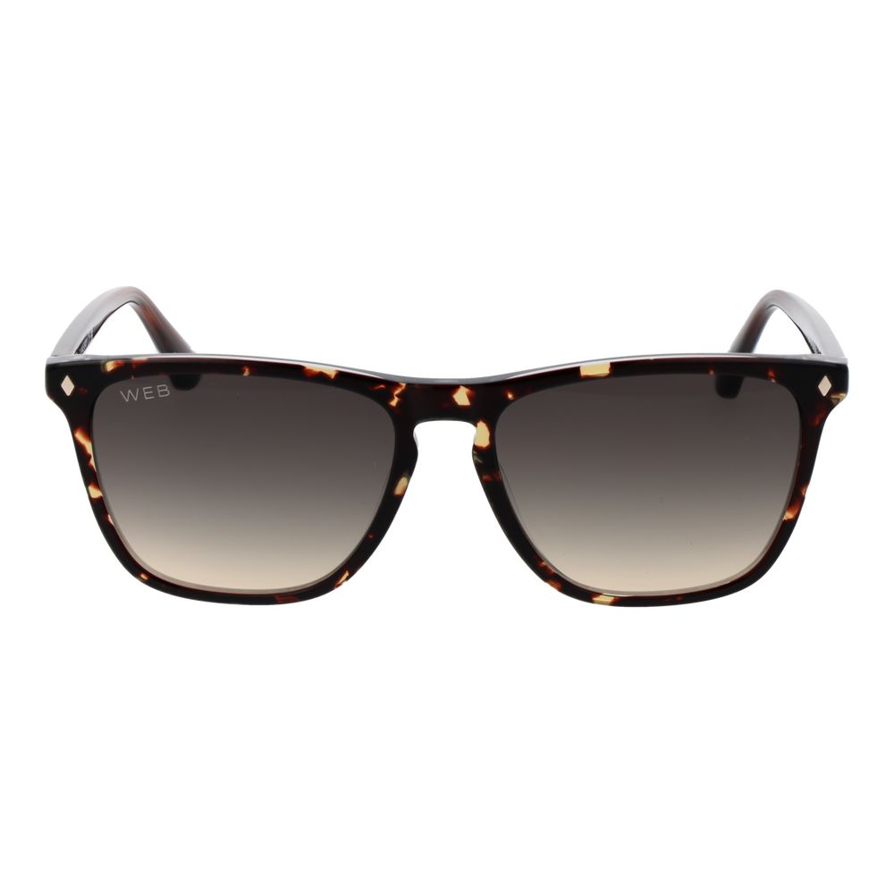 Web Brown Acetate Sunglasses | Regal Royce