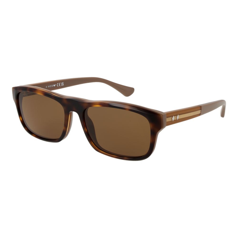 Web Brown Acetate Sunglasses | Regal Royce