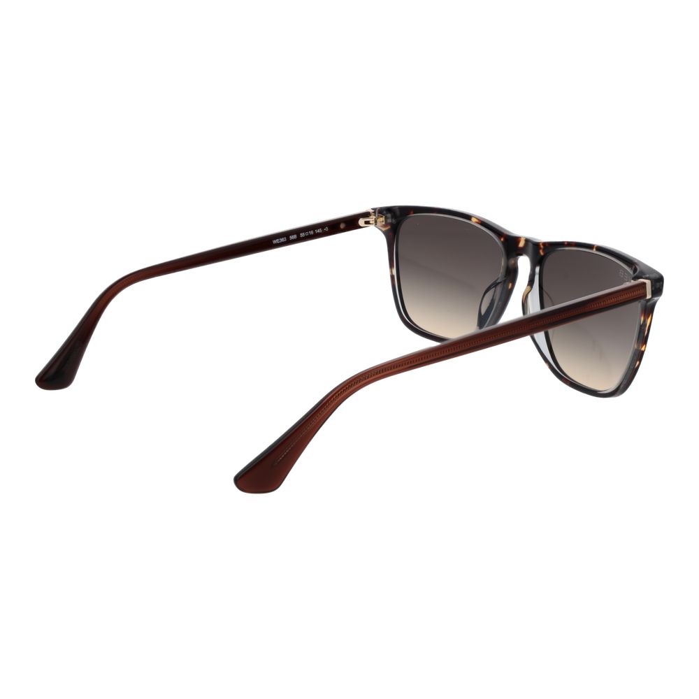 Web Brown Acetate Sunglasses | Regal Royce