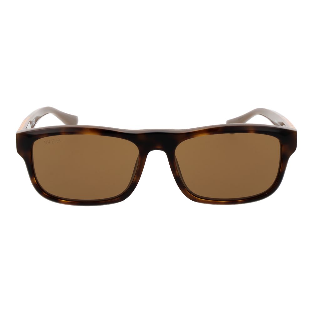 Web Brown Acetate Sunglasses | Regal Royce