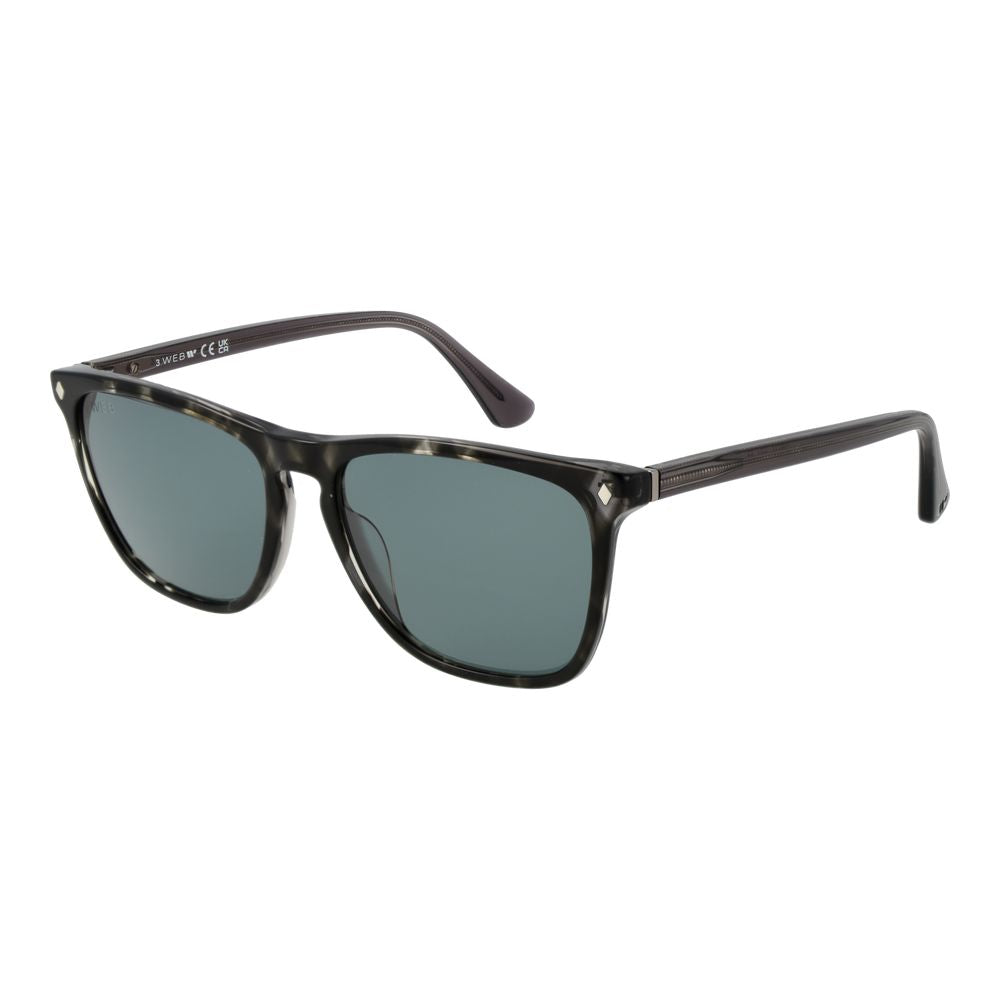 Web Black Acetate Sunglasses | Regal Royce