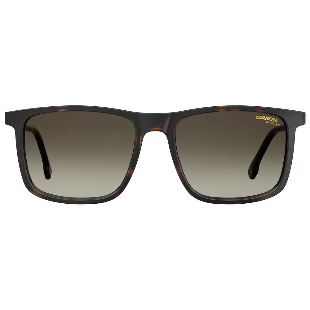 Carrera Brown Injected Sunglasses | Regal Royce