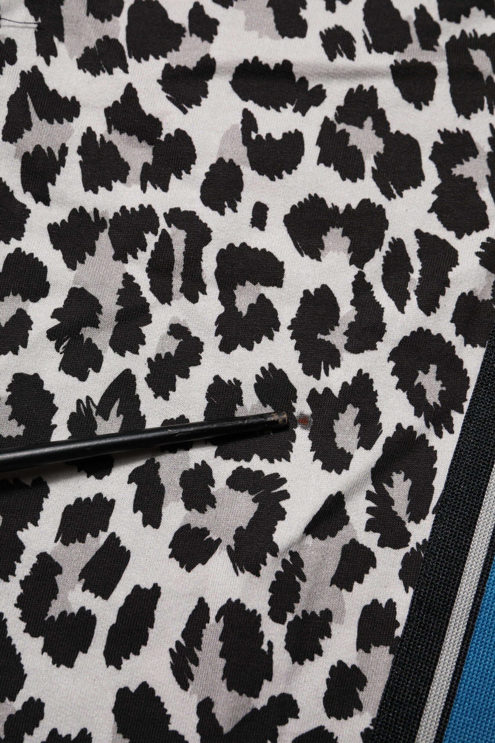 Dolce & Gabbana Multicolor Leopard #DGMillennials Jogger Pants | Regal Royce