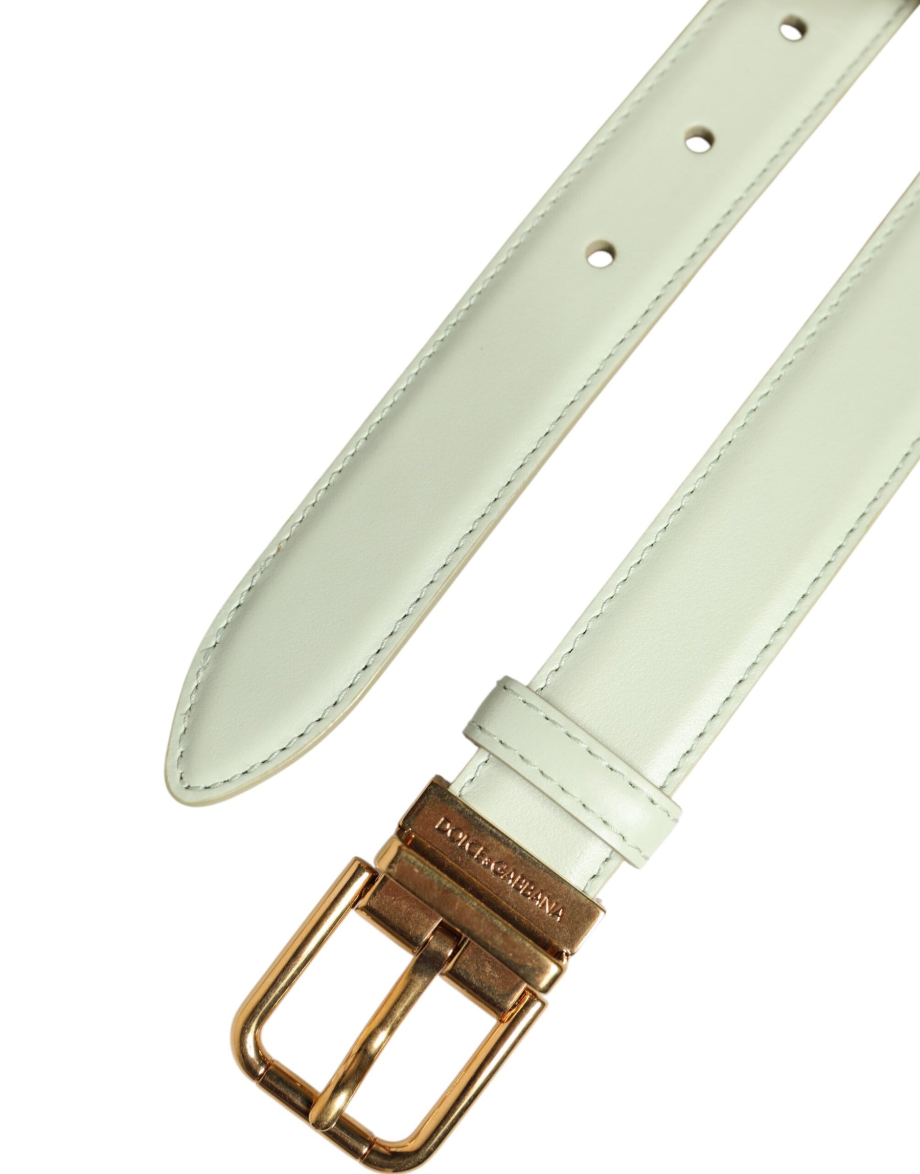 Dolce & Gabbana Light Green Leather Gold Metal Buckle Belt | Regal Royce