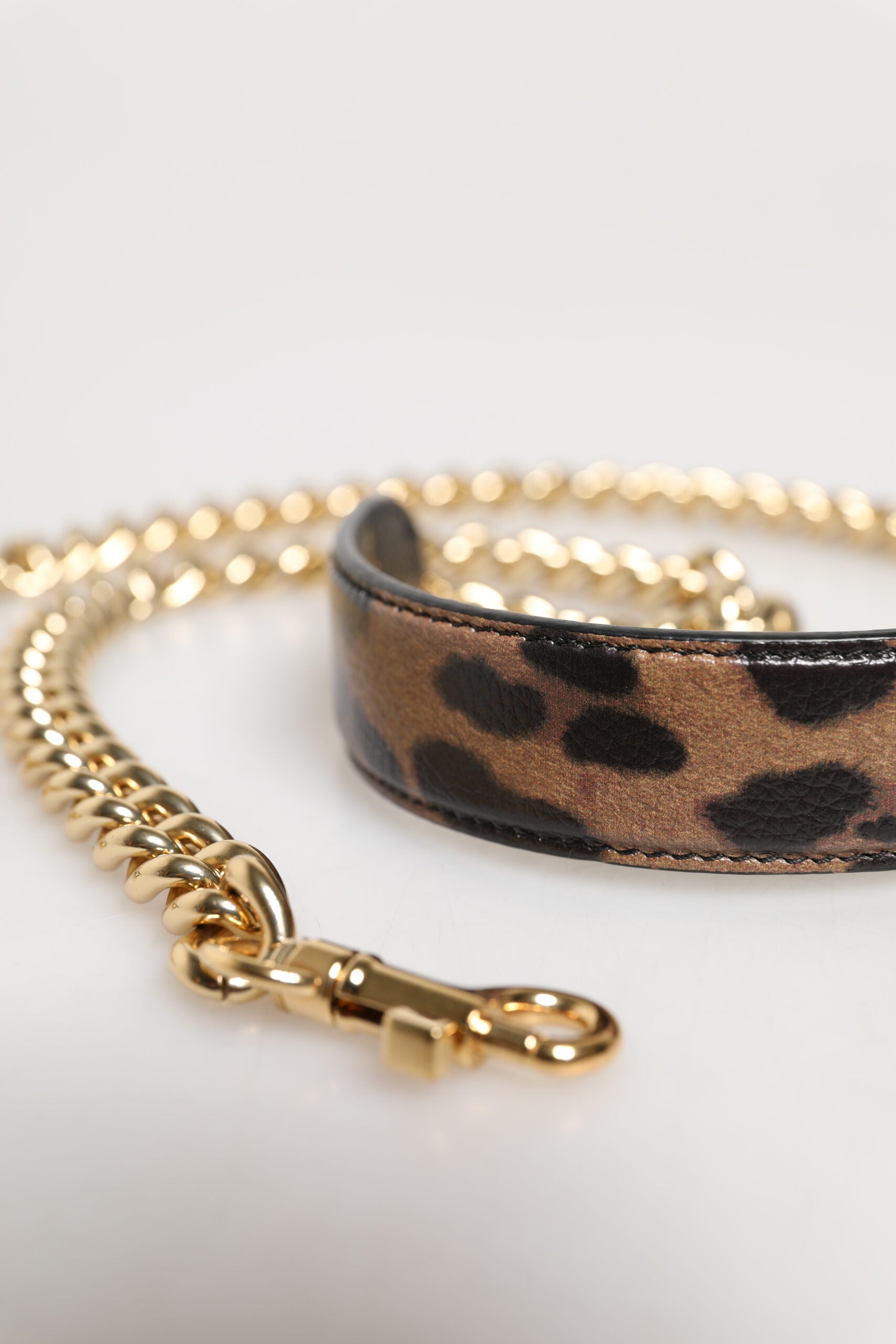Dolce & Gabbana Brown Leopard Gold Brass Chain Accessory Shoulder Strap | Regal Royce