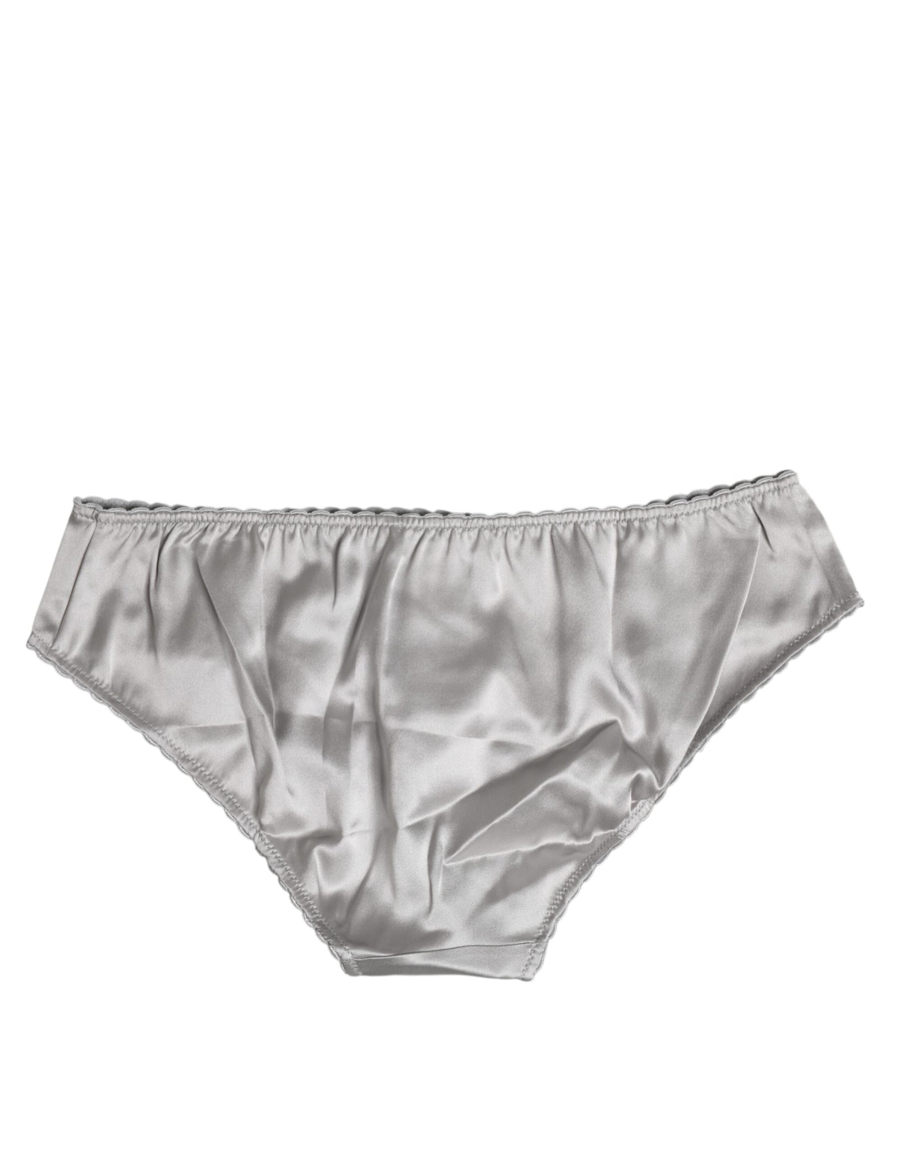 Dolce & Gabbana Gray Silk Stretch Bottom Low Waist Panty Underwear | Regal Royce